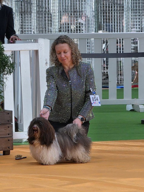 CH. Taj mahal Del rey rakashi