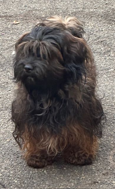 Une jolie mome Du Rocher De La Haute Vilaine